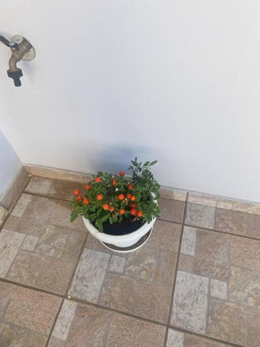 New Lovely Apartment In Heraklion Buitenkant foto