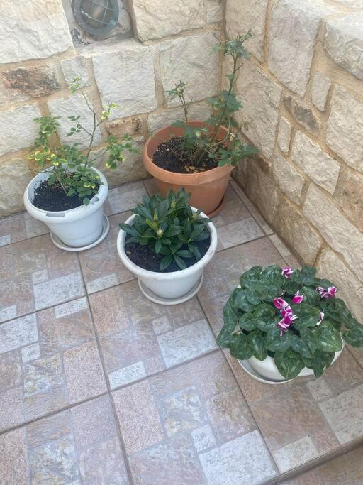 New Lovely Apartment In Heraklion Buitenkant foto